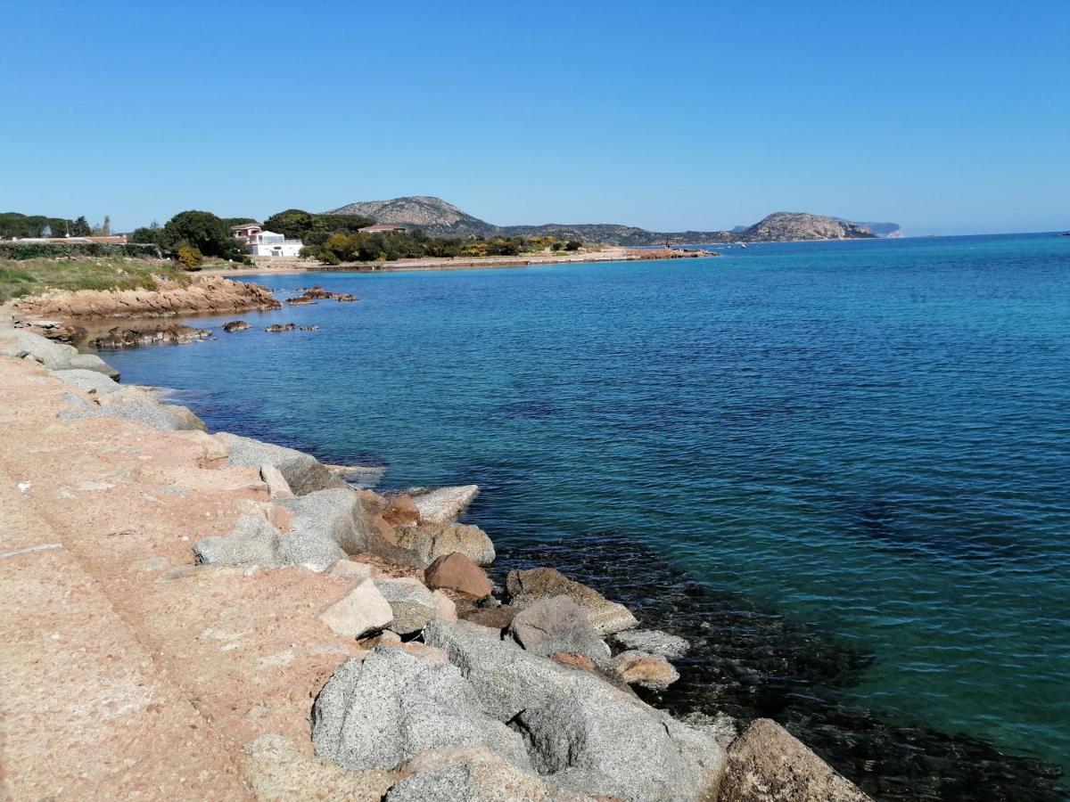 Aria Di Vacanza - Molara Loiri Porto San Paolo Extérieur photo