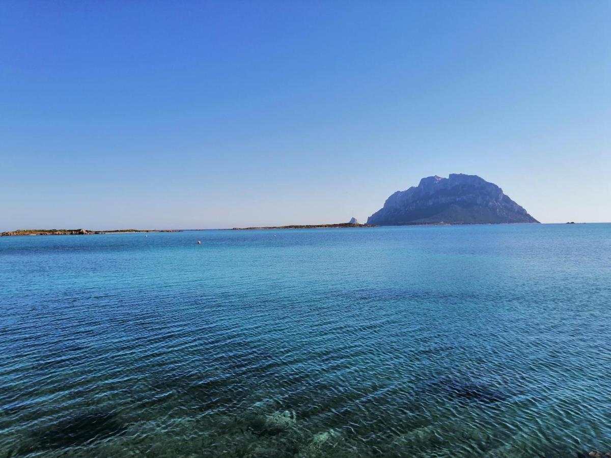 Aria Di Vacanza - Molara Loiri Porto San Paolo Extérieur photo